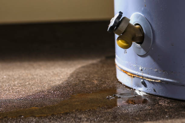 Best 24/7 water damage repair  in Laurel Lake, NJ