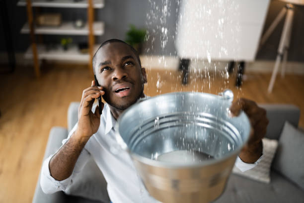 Best Water damage restoration near me  in Laurel Lake, NJ