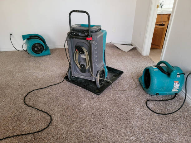 Best Flood restoration services  in Laurel Lake, NJ