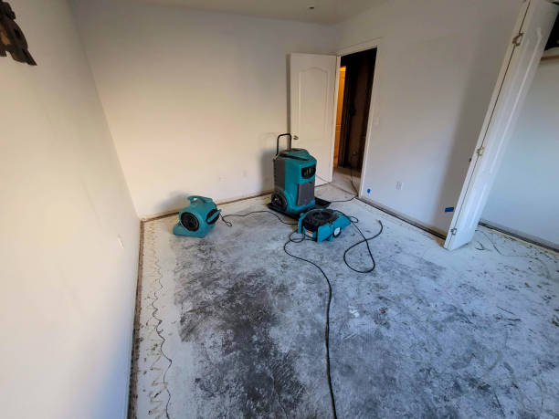 Best Local water damage restoration  in Laurel Lake, NJ