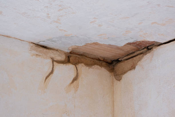Best Residential water damage restoration  in Laurel Lake, NJ