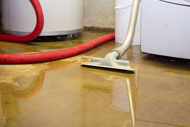 Best 24-hour water damage restoration  in Laurel Lake, NJ