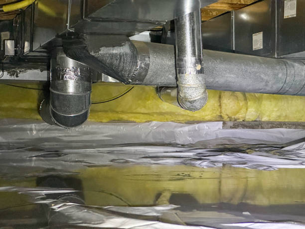 Best Local water damage restoration  in Laurel Lake, NJ