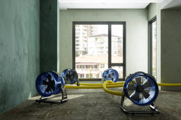 Best Commercial water damage restoration  in Laurel Lake, NJ